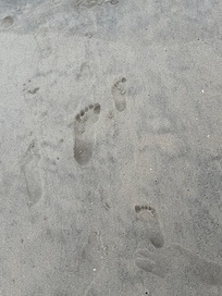 Footprints in thecsanf