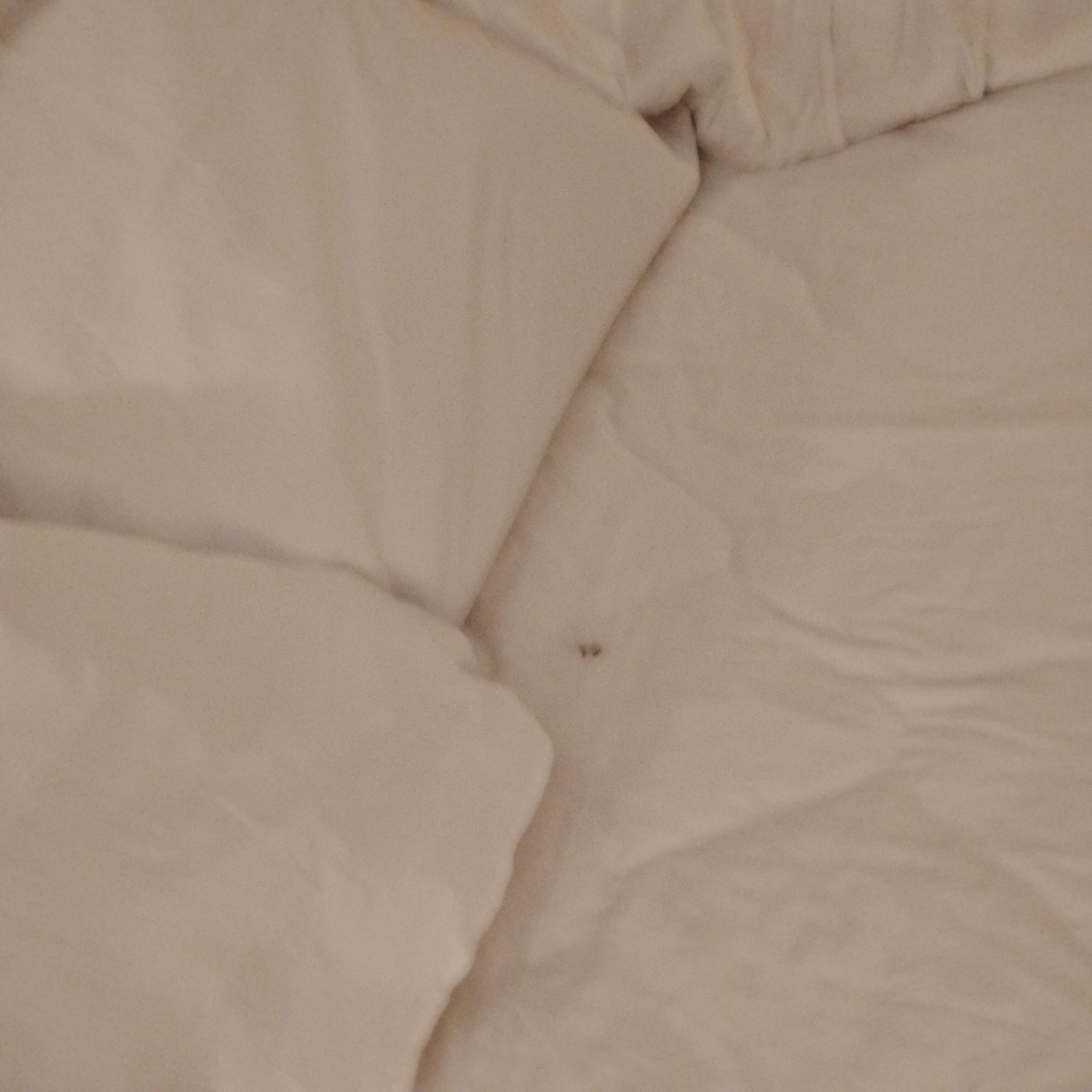 Pubes knotted and bed unchanged linen both beds