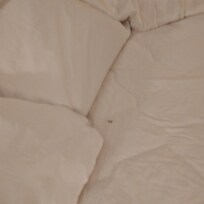 Pubes knotted and bed unchanged linen both beds