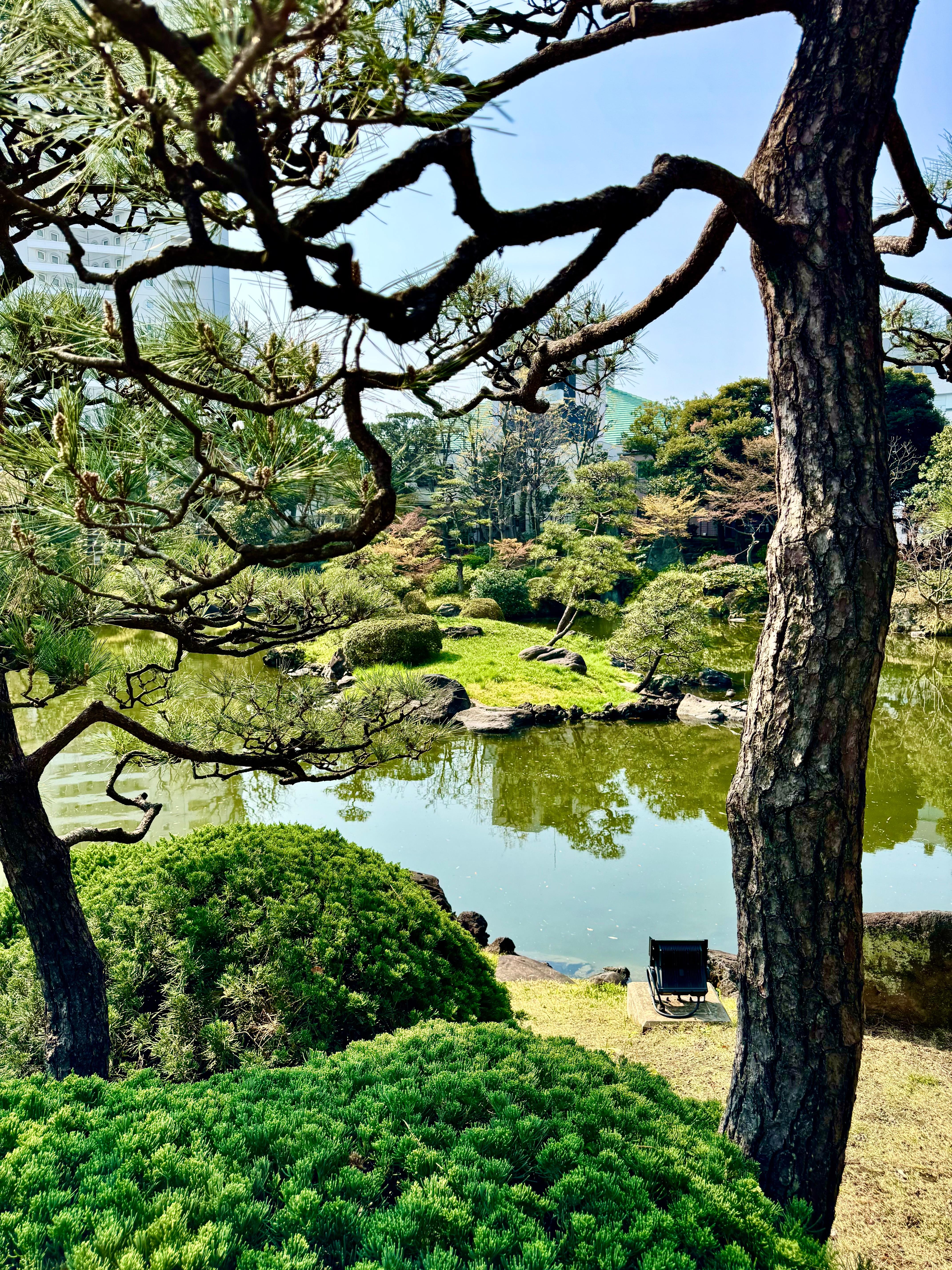 Little park to relax at right across the street