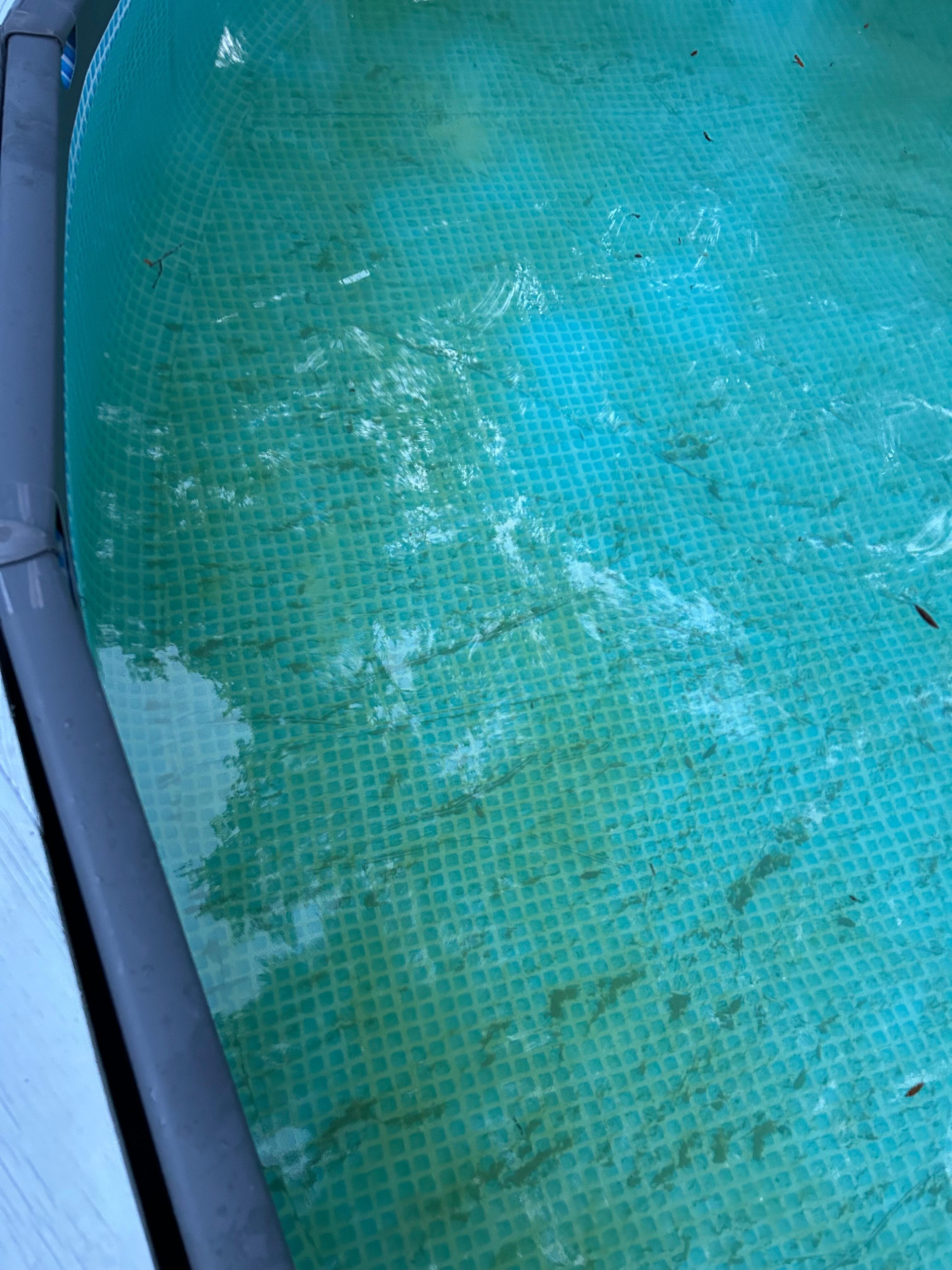 Pool was not as pictured in the listing. 