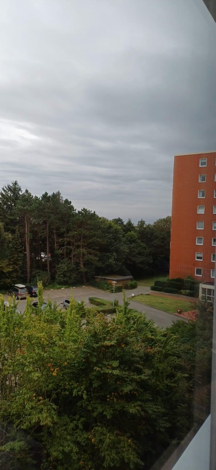 Die Sicht vom Fenster