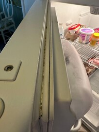 Fridge seal