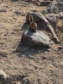 Another friendly face!!