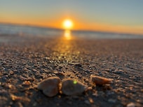 Sunrise with a lot of seashells on the beach