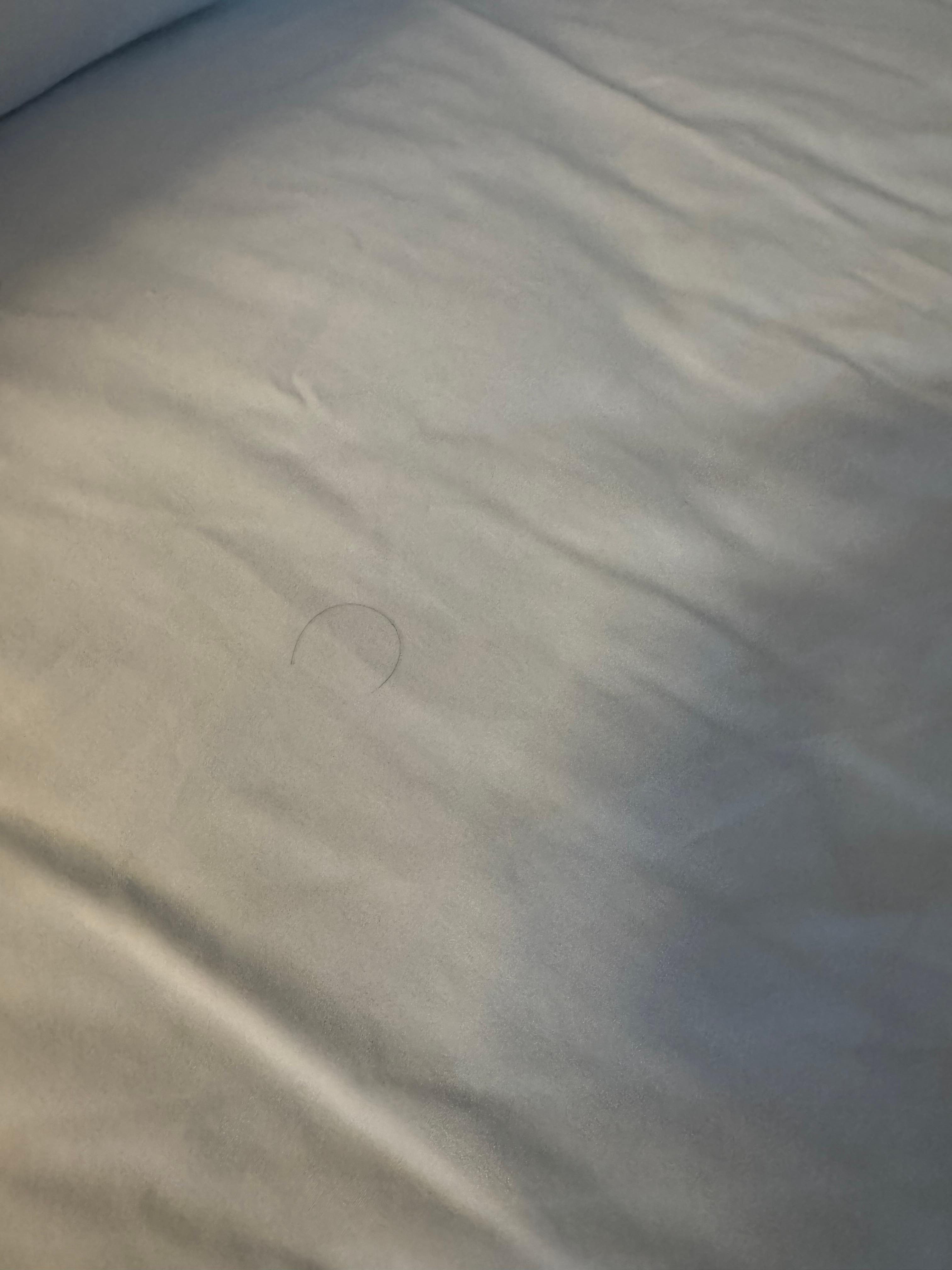 Hair on sheet. 