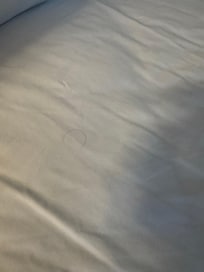 Hair on sheet.