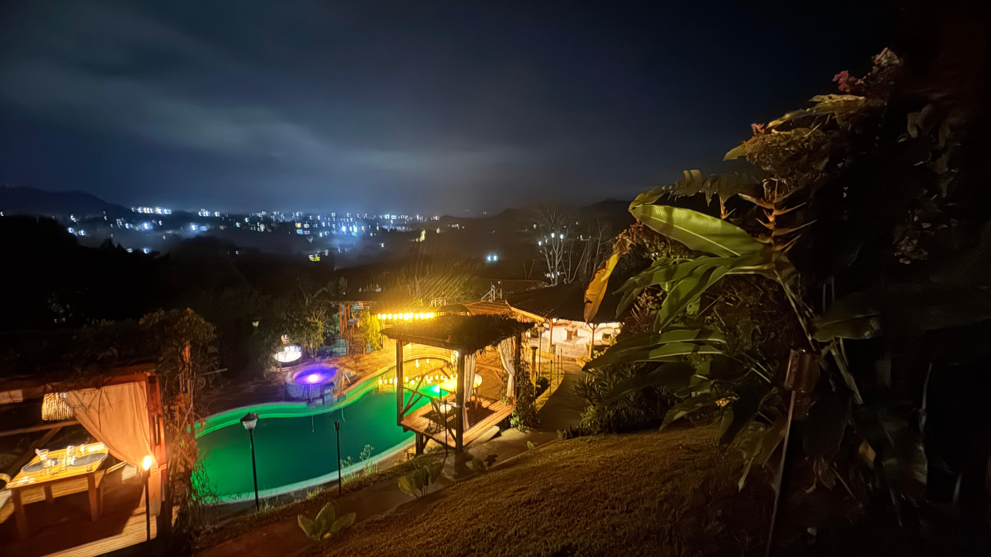 Excellent staff and dog 