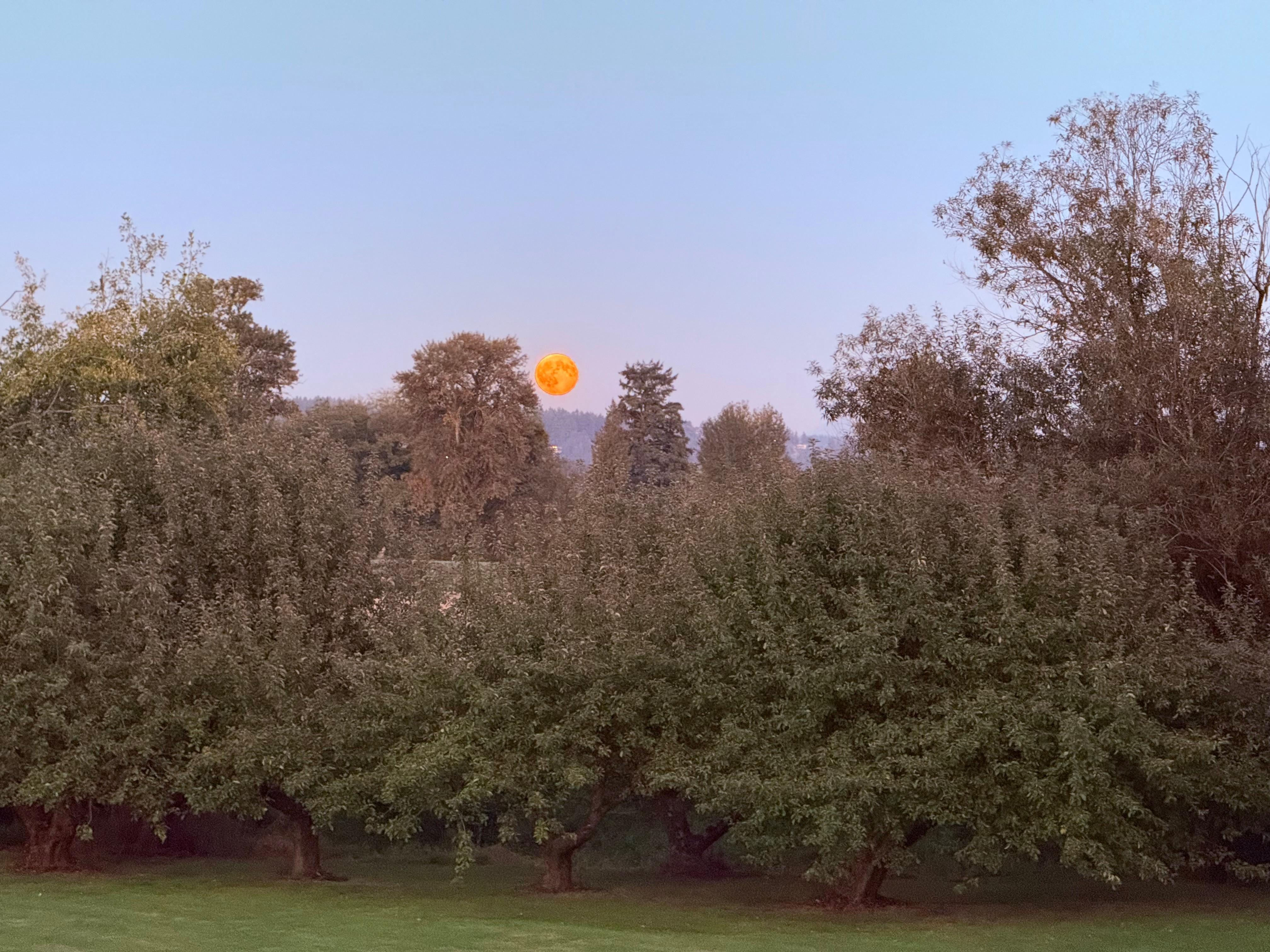 The moon was such a treat!