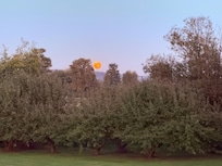 The moon was such a treat!