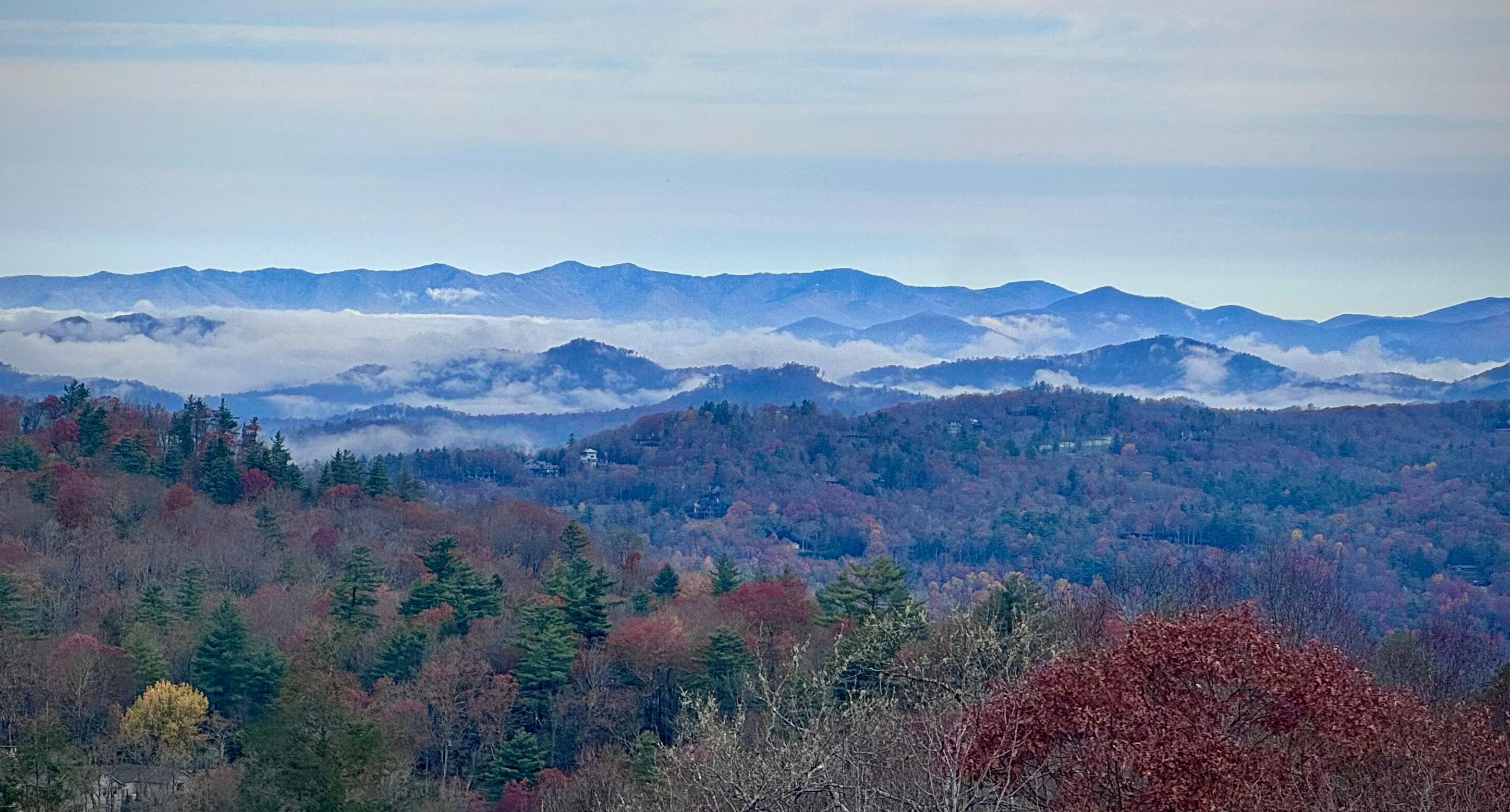 Morning from back porch