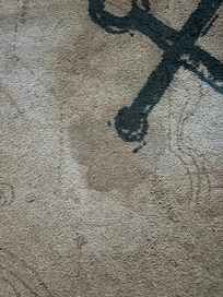 Dog pee/ poop stains