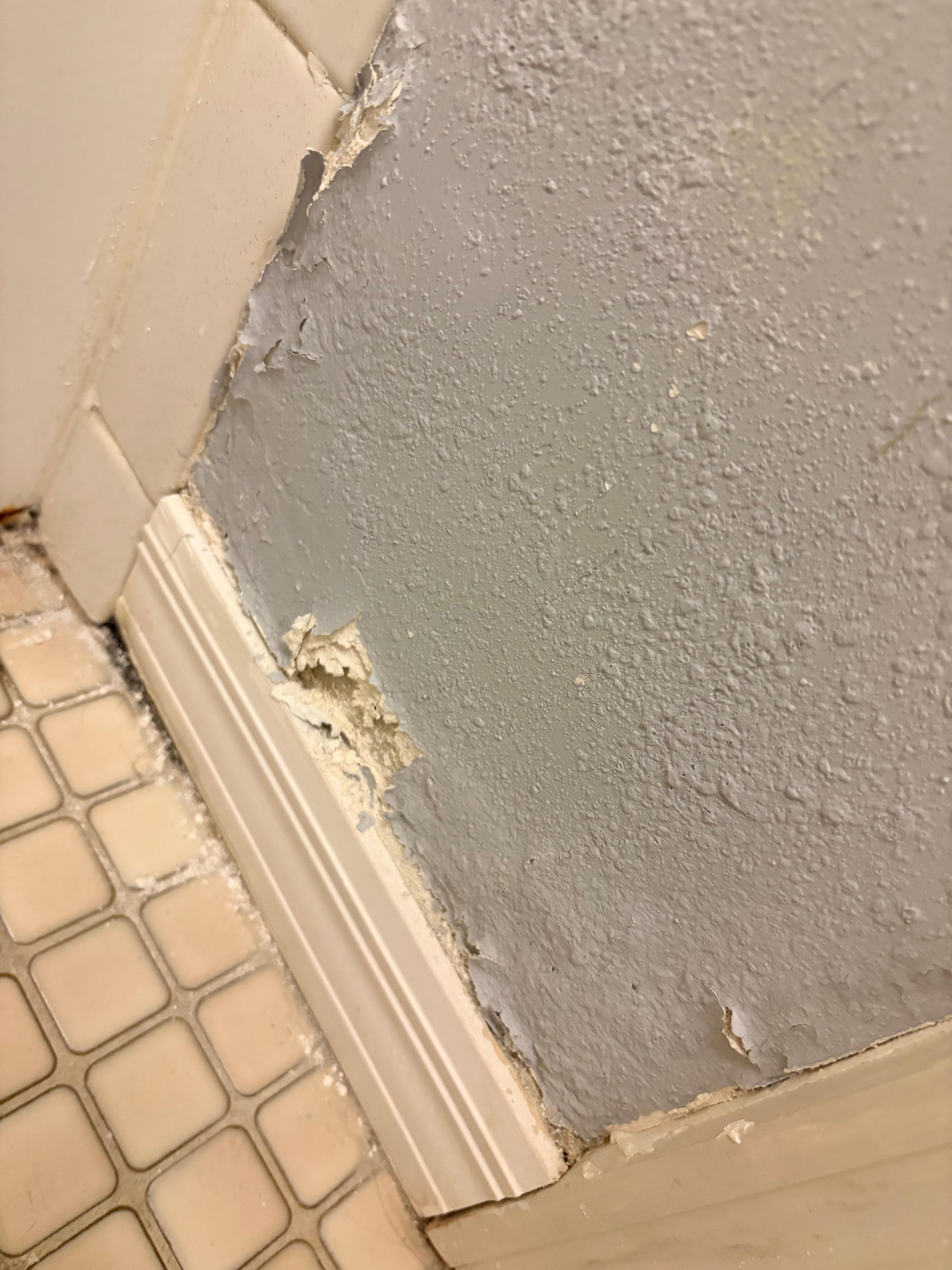 Guest bathroom wall