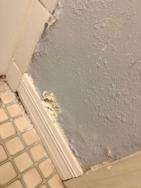 Guest bathroom wall