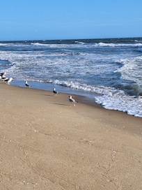 Close to the beach