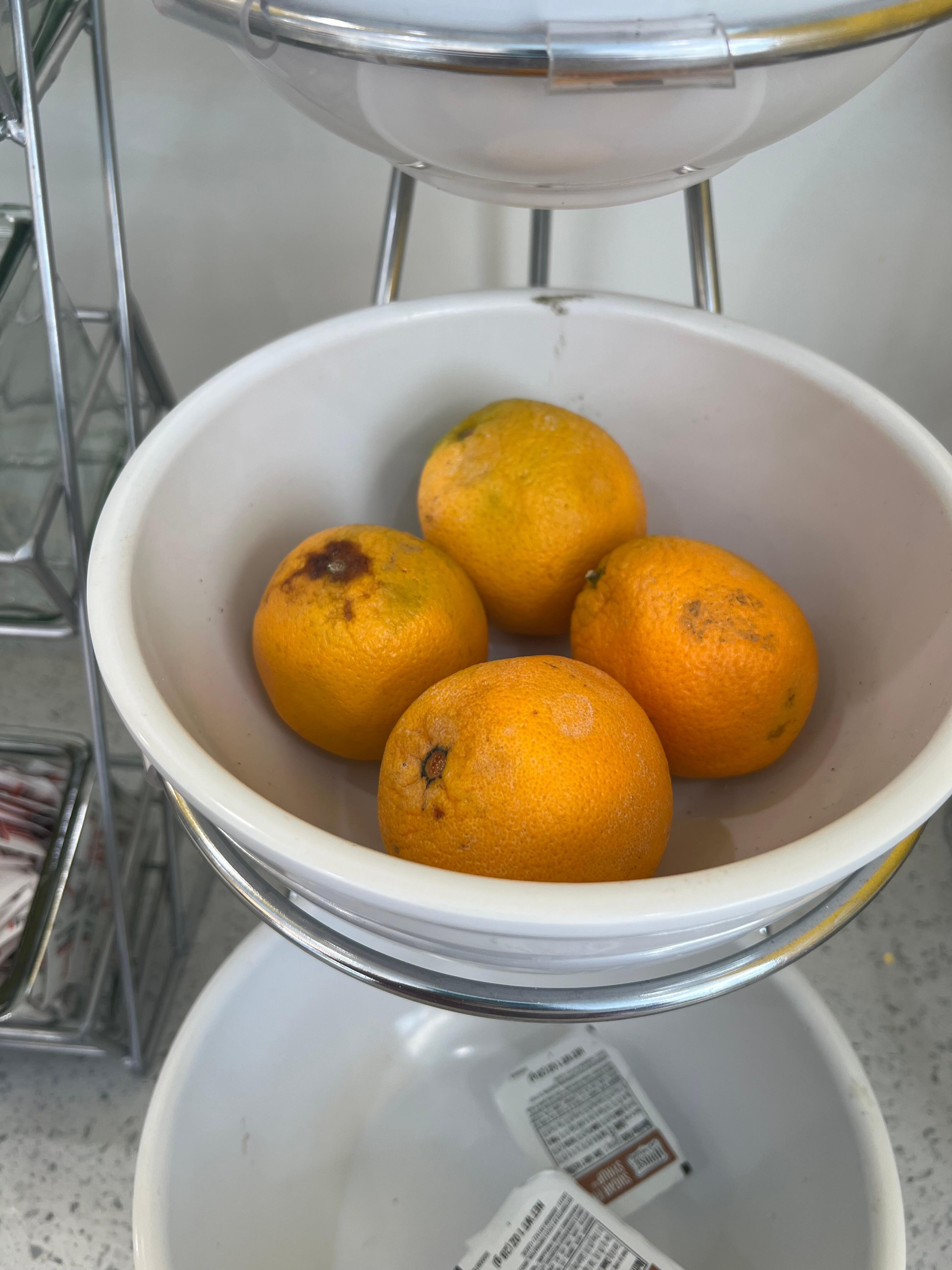 Moldy oranges