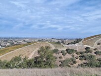 Views of vineyard next to property from top of hill.