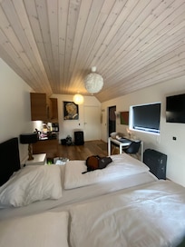 Zimmersicht aus Richtung Fensterfront/Bett