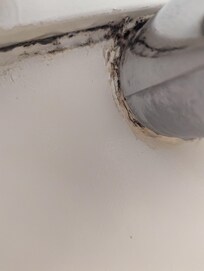 Mold in shower/tub enclosure