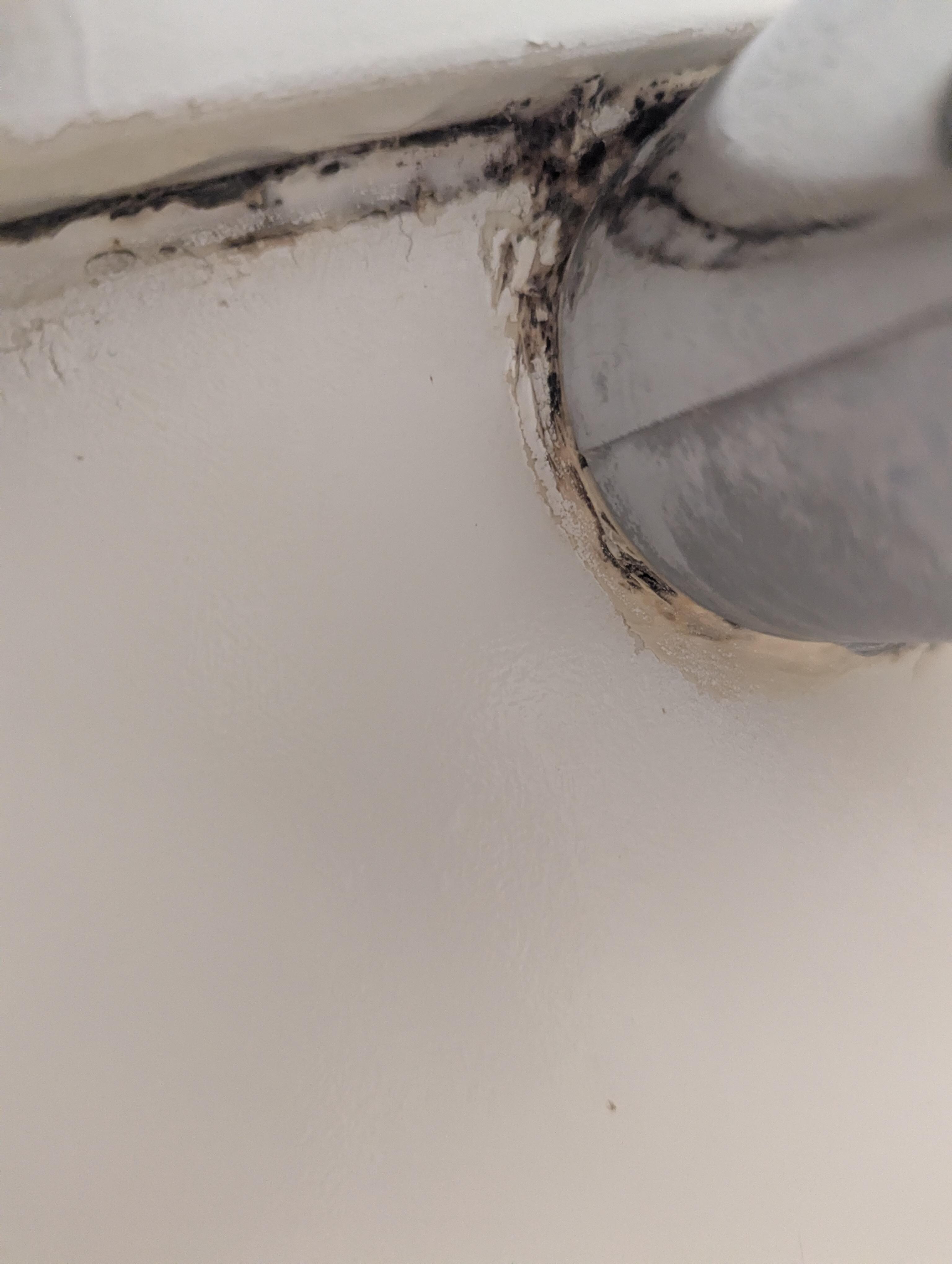 Mold in shower/tub enclosure 