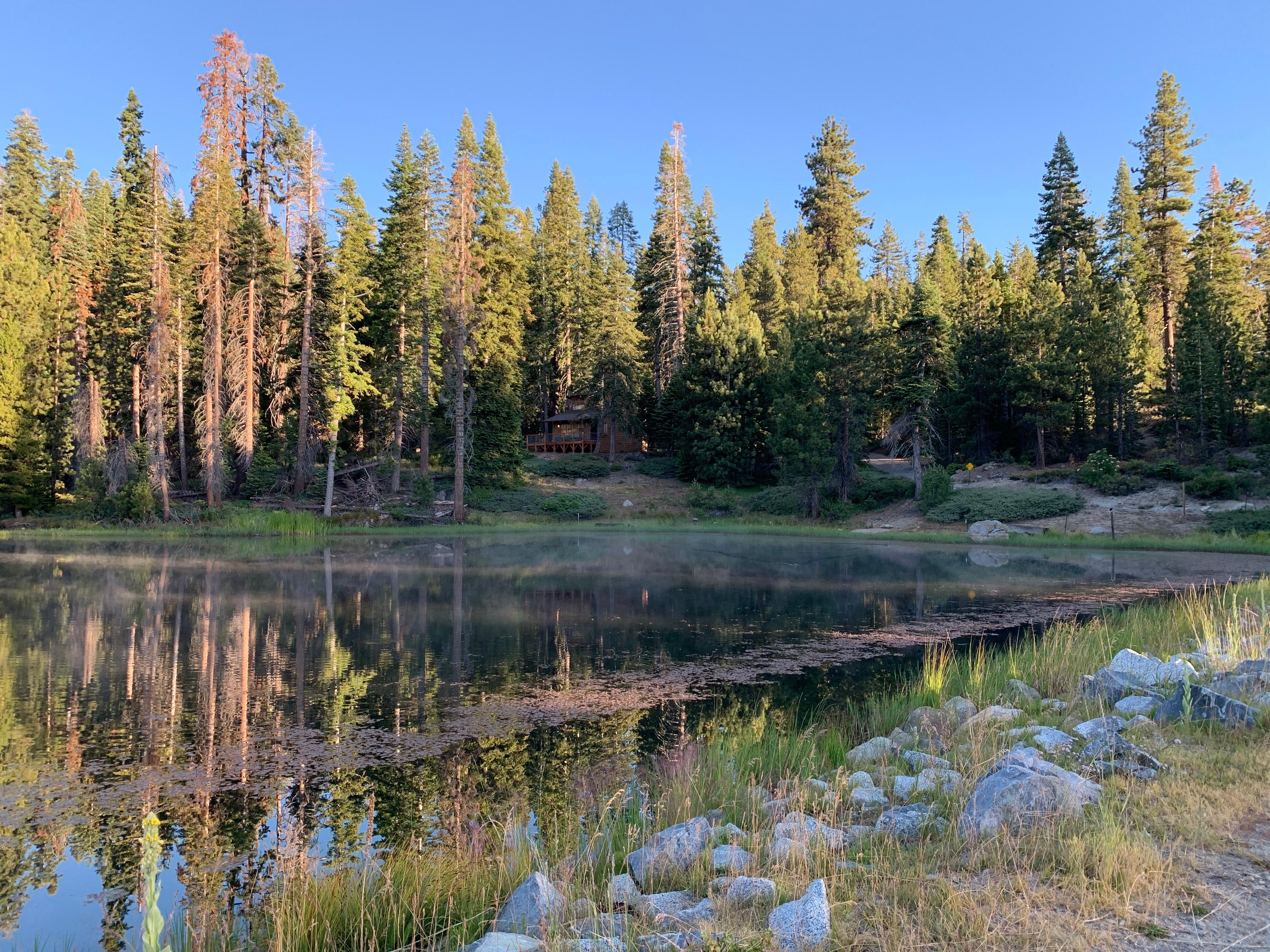 Quiet peaceful morning 