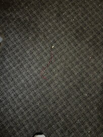 Gross carpets not vancumed
