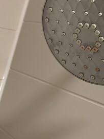 Shower head nasty stained