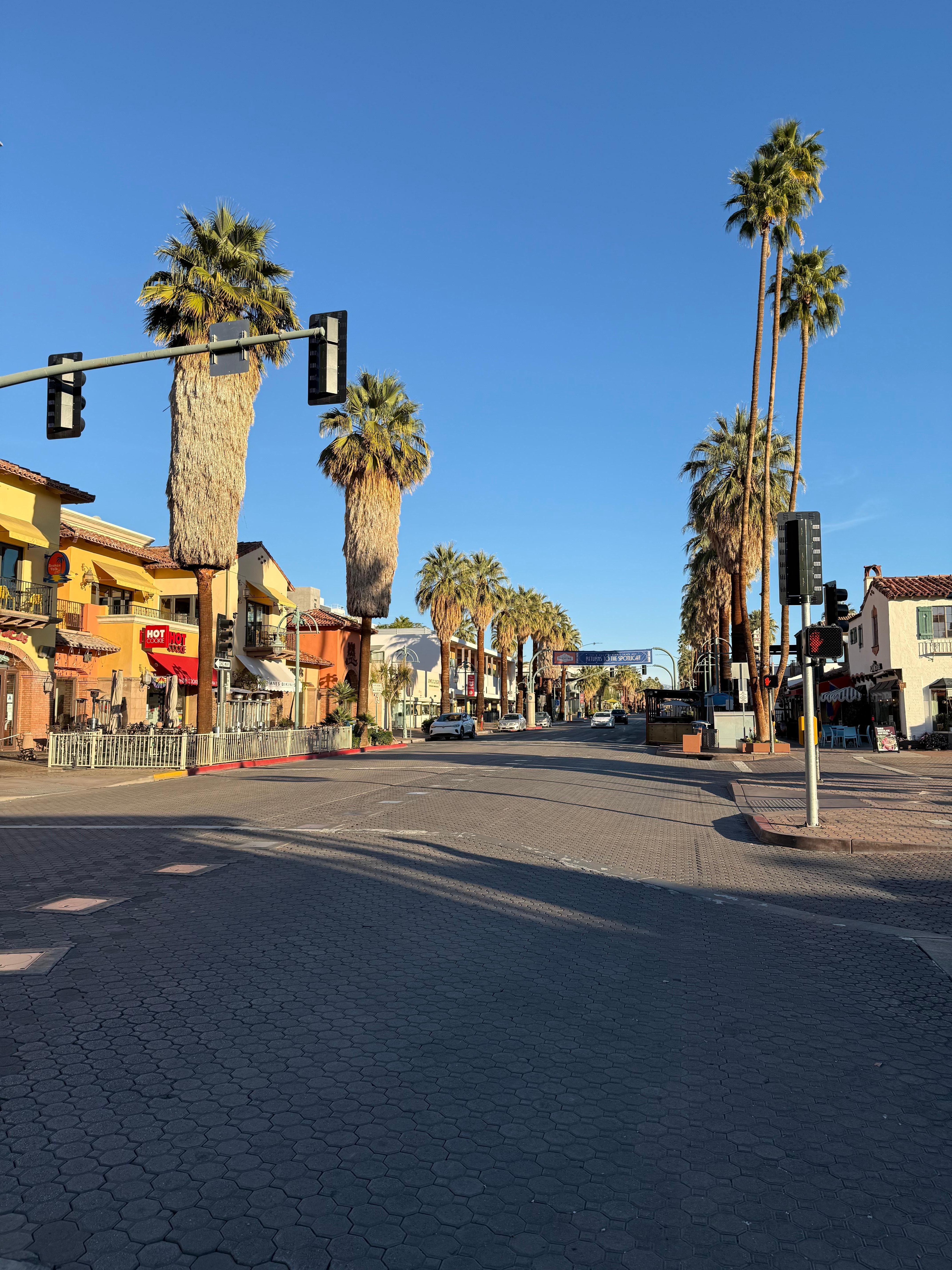 Walkable to downtown Palm Springs