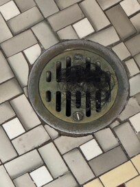 Hair in drain