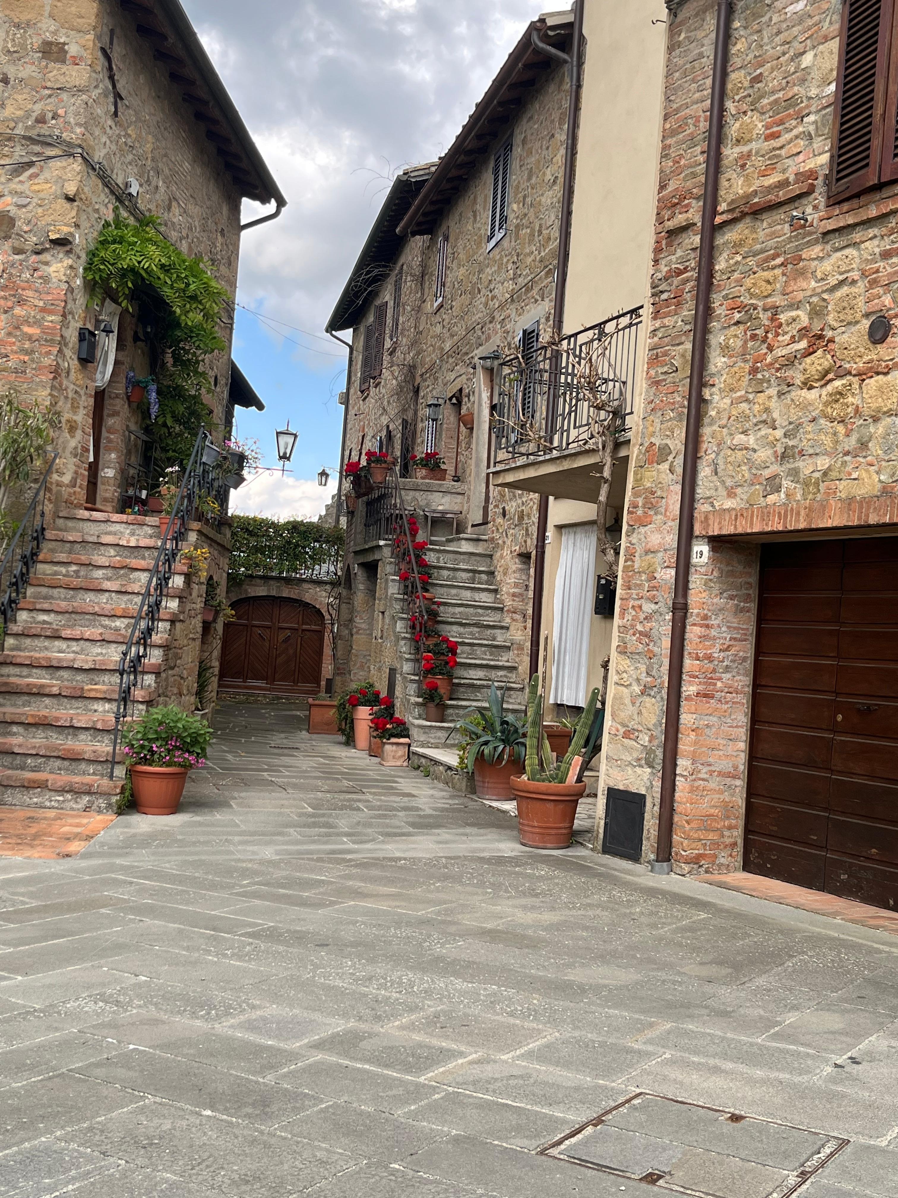 Charming houses