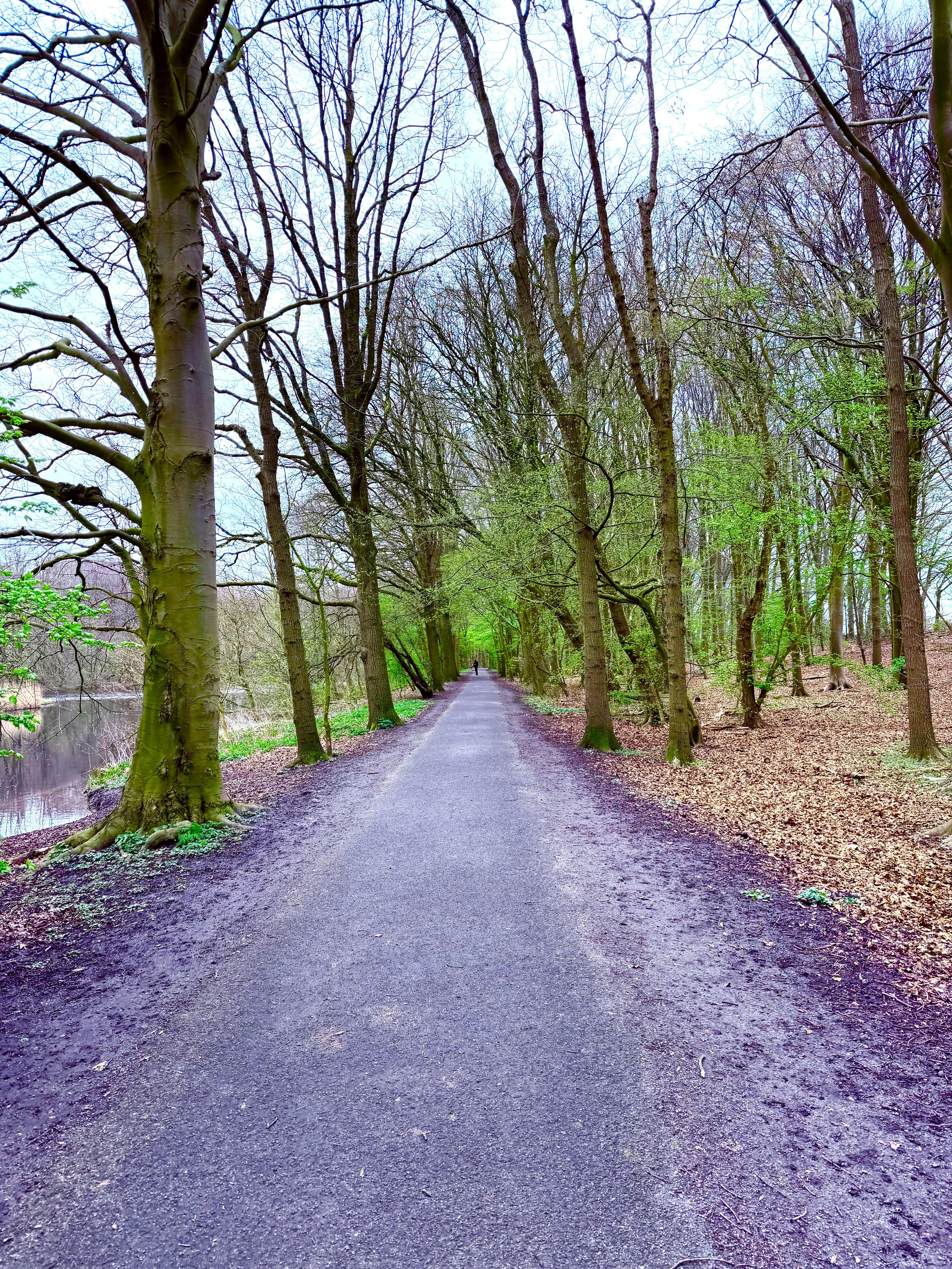 Trails nearby 