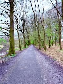 Trails nearby