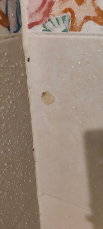 Un trozo de jabón en la pared