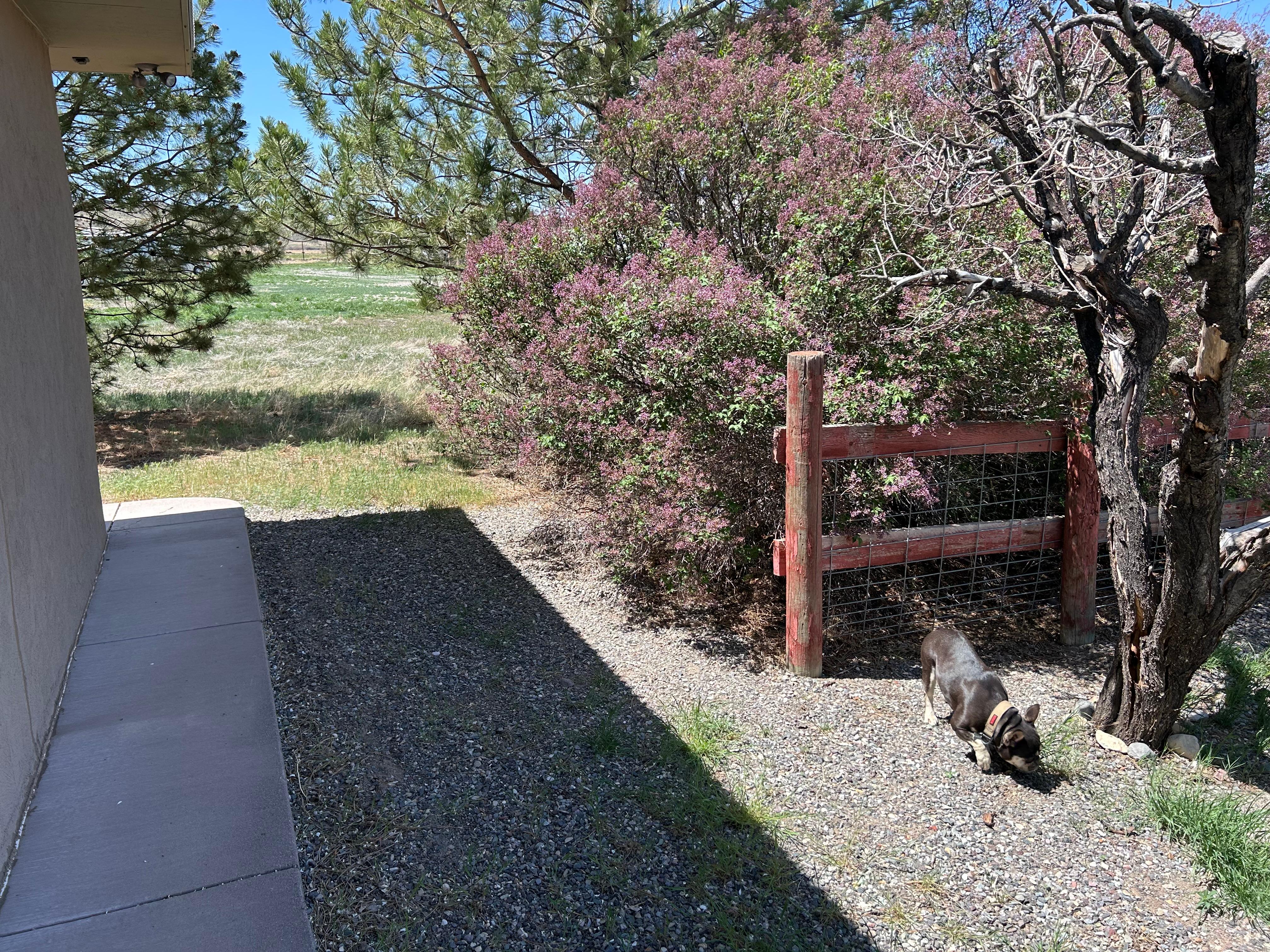 Open fenceline 