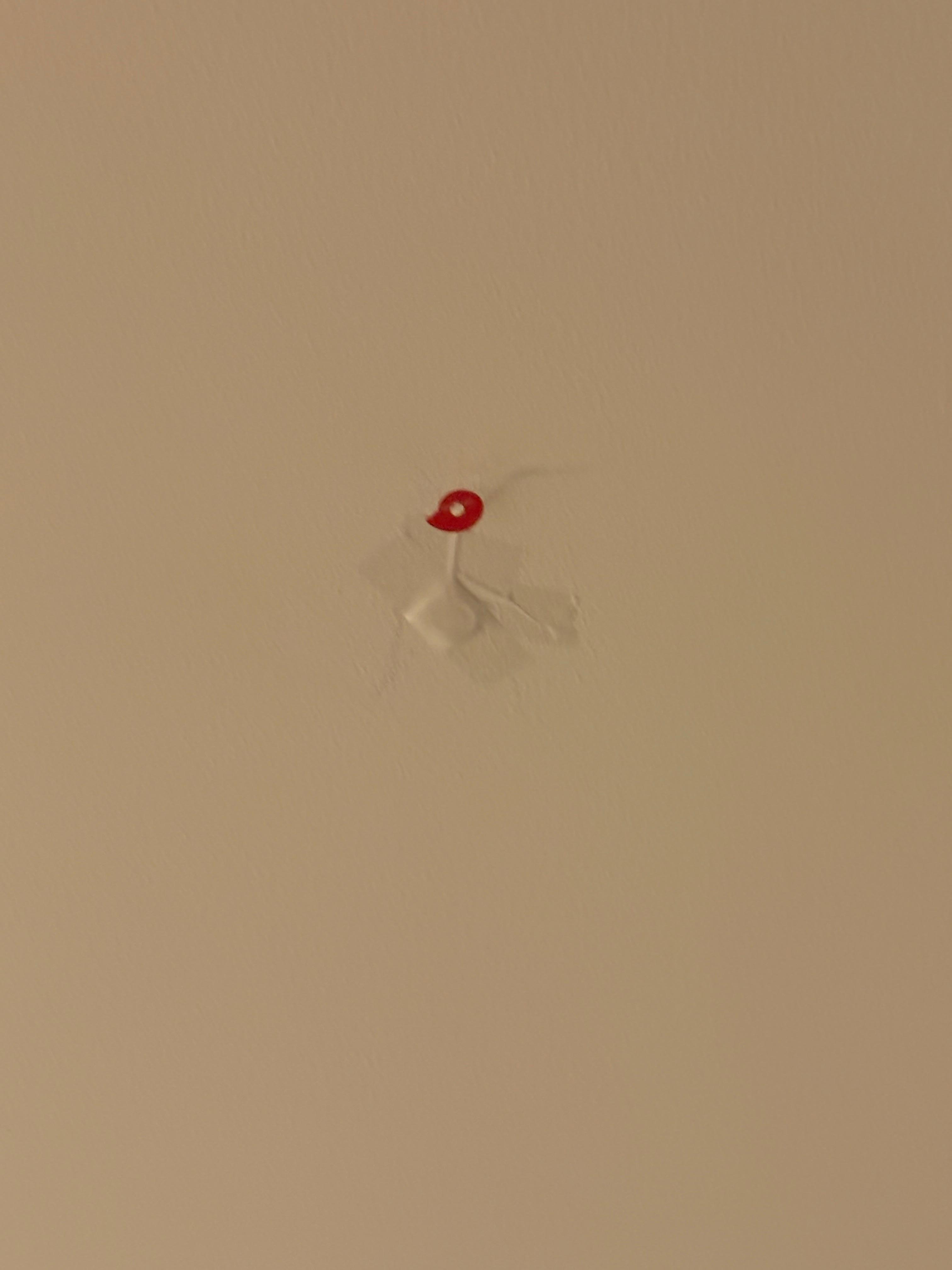 This was on my ceiling. 
