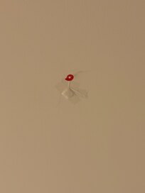 This was on my ceiling.