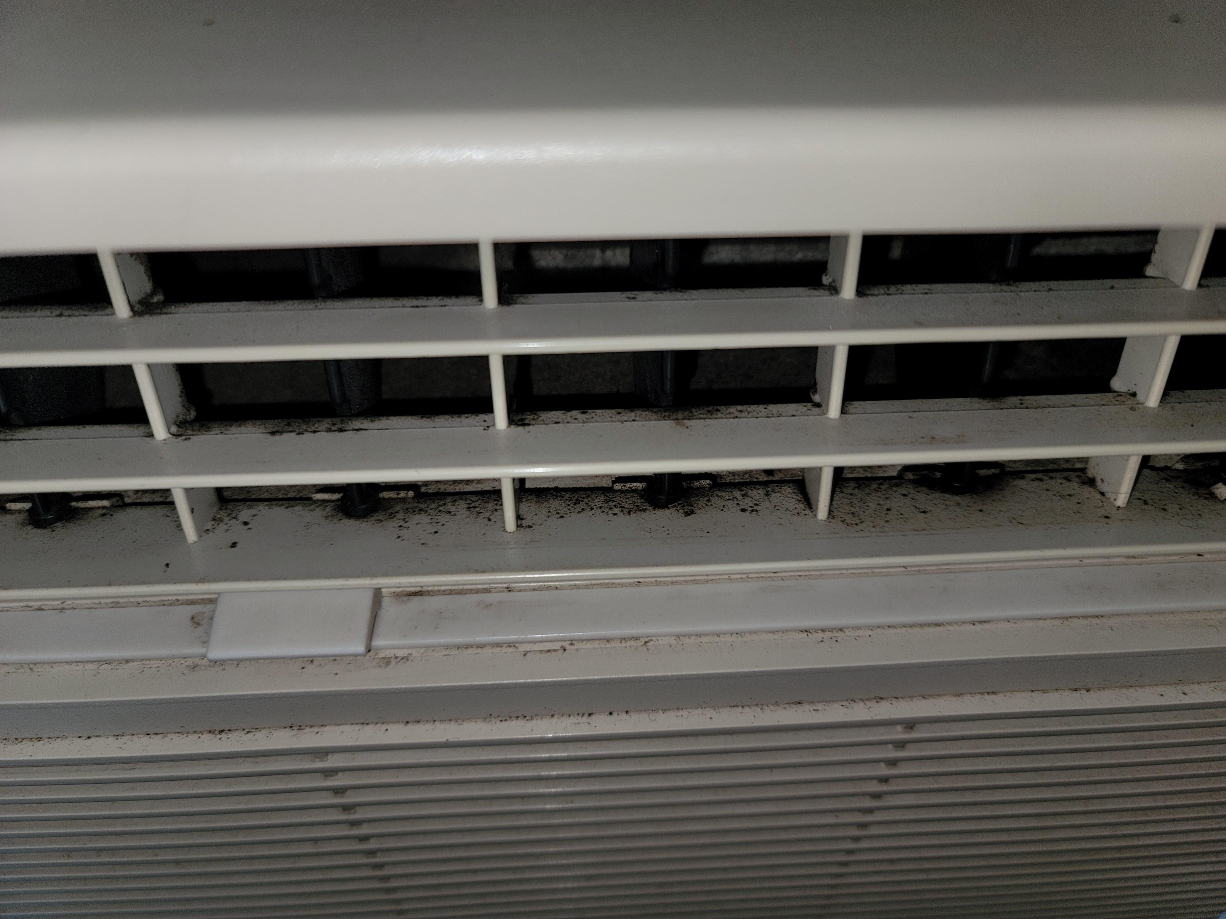 Mold in AC