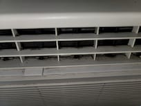 Mold in AC