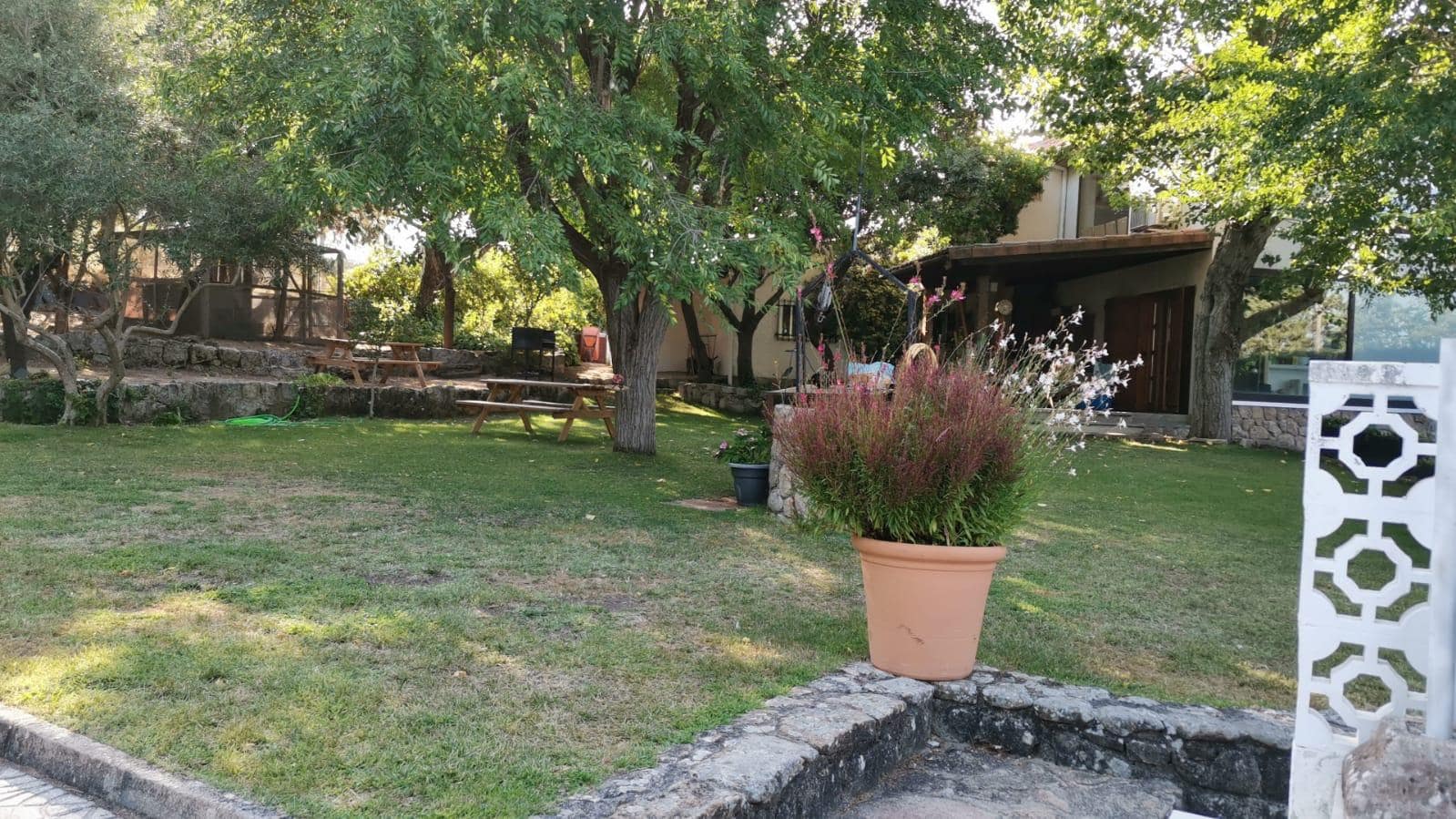 jardin ombragé