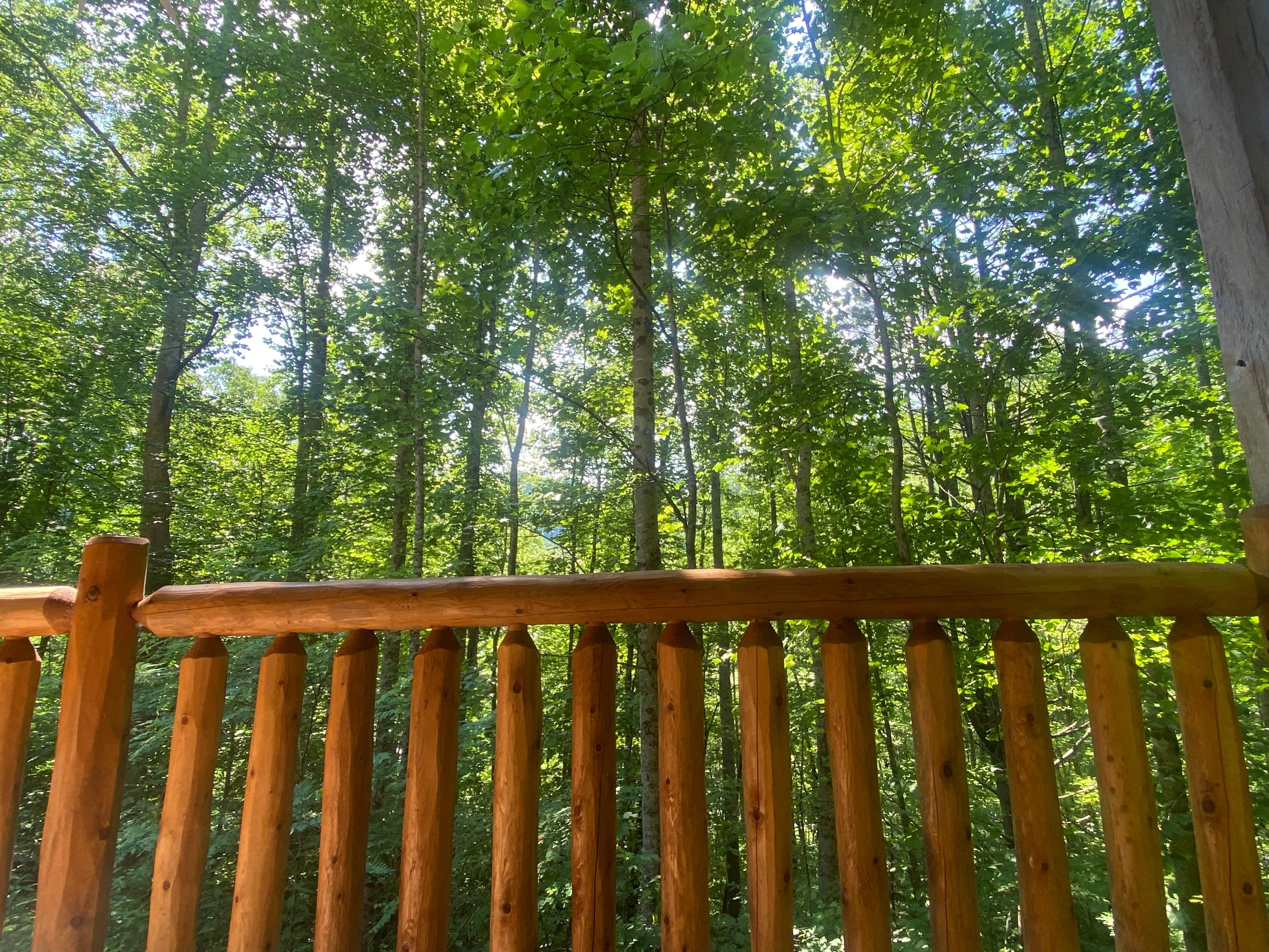 Amazing property with solitude and greenery. The fireflies at night were incredible 