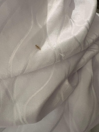 This was on the covers