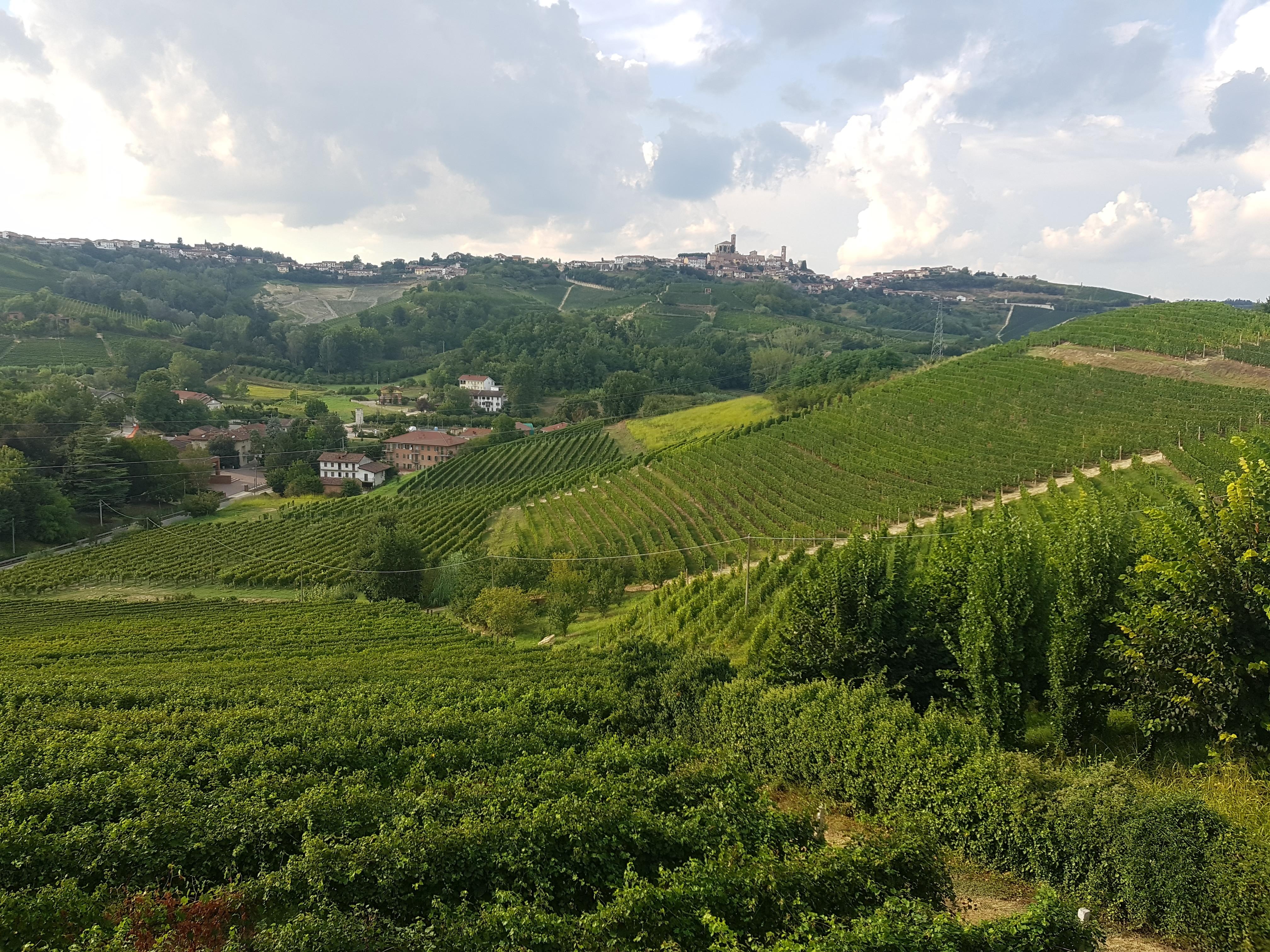 Ausblick von Terrasse