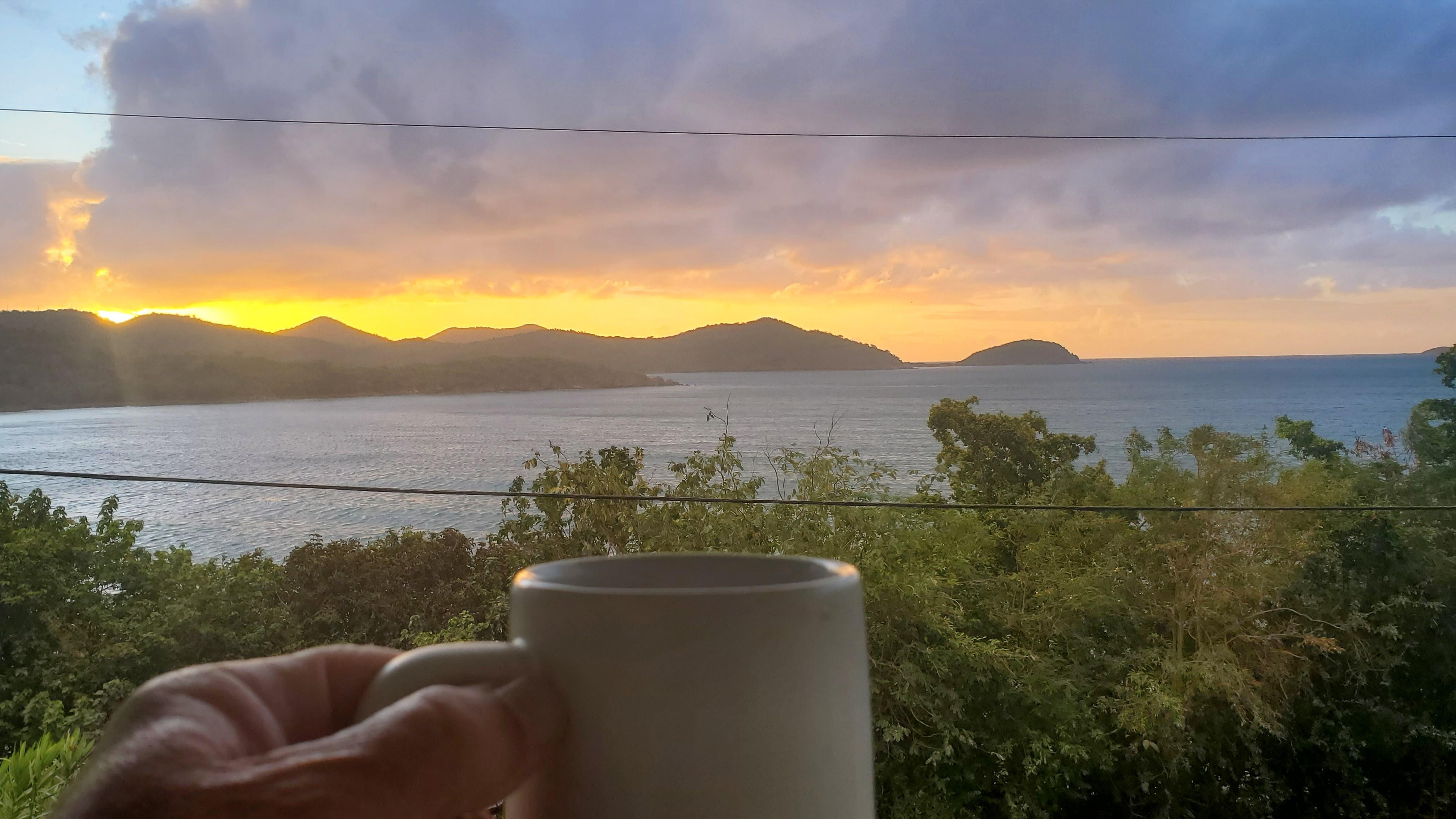 My view with morning coffee 