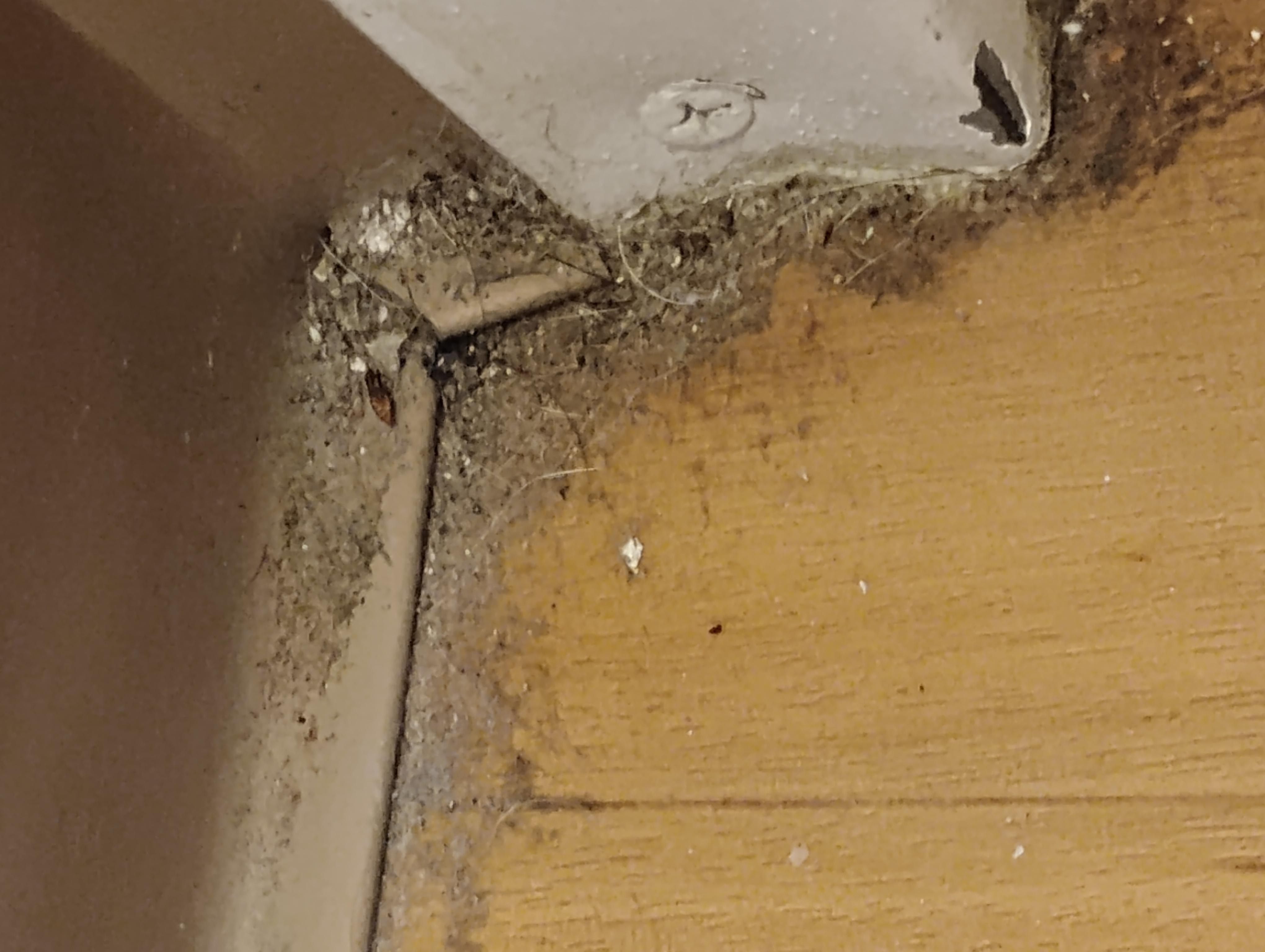 Bathroom floor 