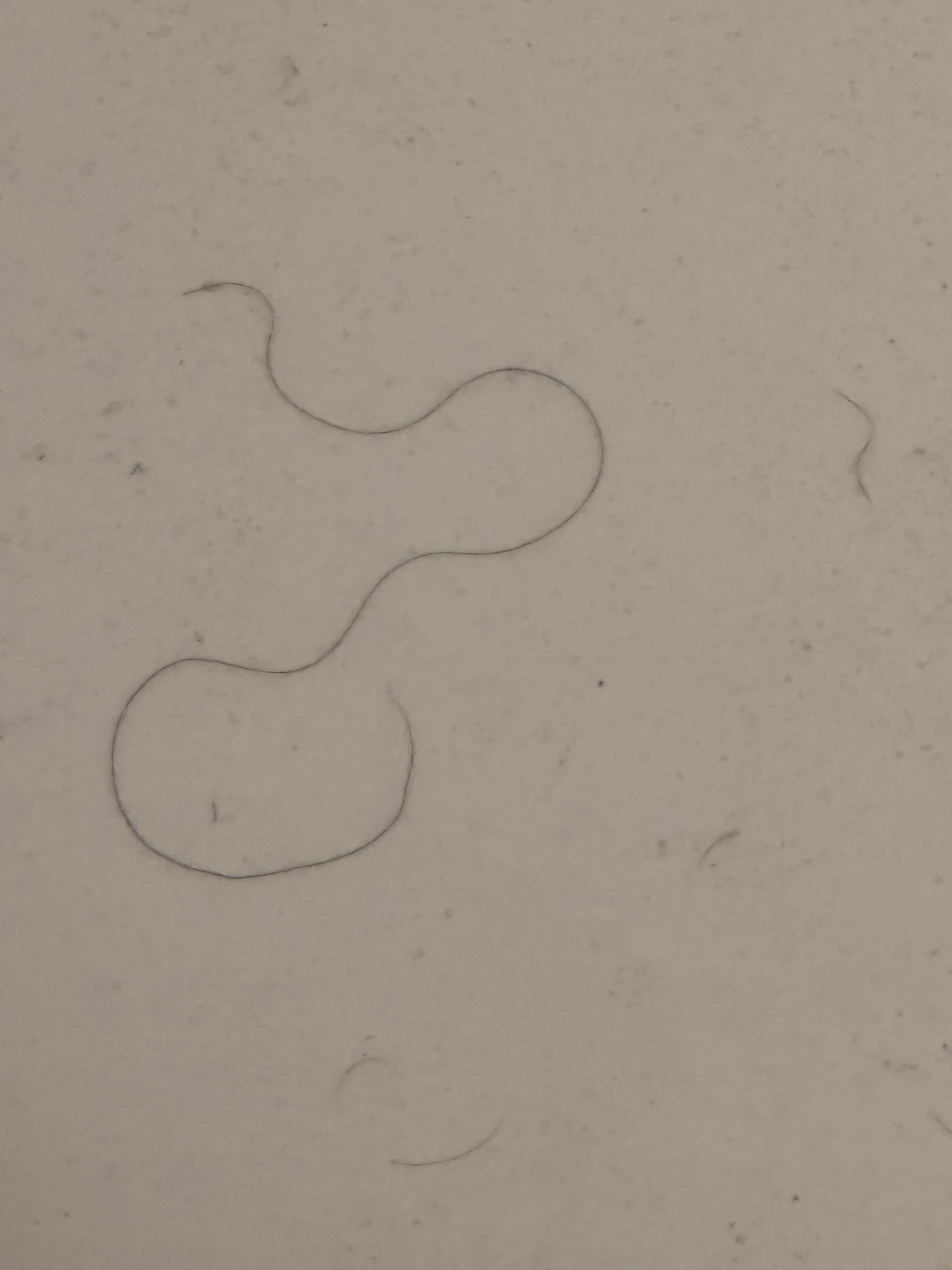 Nice dark hair in the shower.