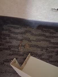 The rusty nail laying on floor