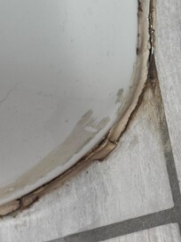 Nasty sludge around toilet.