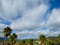 View from 4th floor room