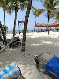 Área de camastros cerca de la playa, a la sombra de las palmeras
