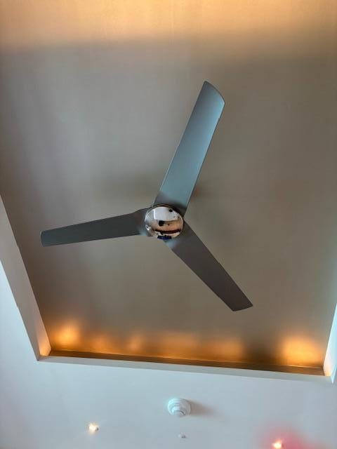 Ceiling fan
